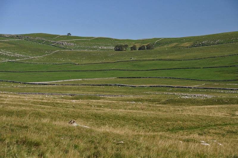 Grassington